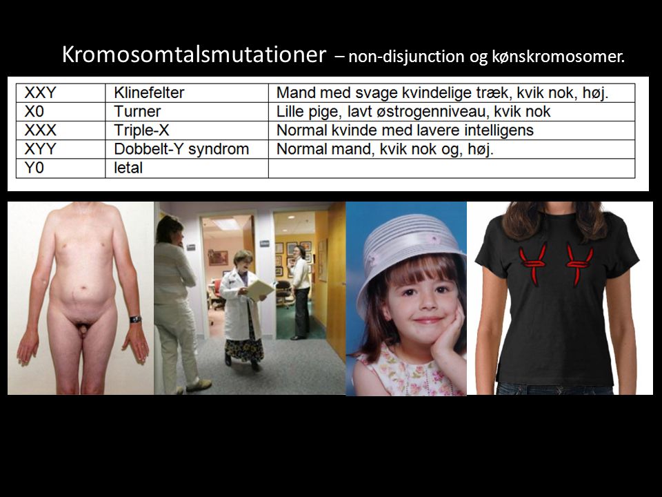 Kromosomtalsmutationer – non-disjunction og kønskromosomer.