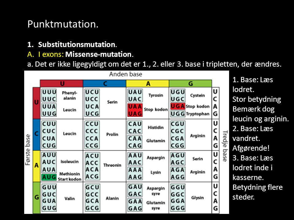 Punktmutation. Substitutionsmutation. I exons: Missense-mutation.