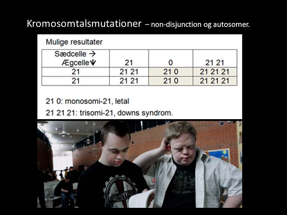 Kromosomtalsmutationer – non-disjunction og autosomer.