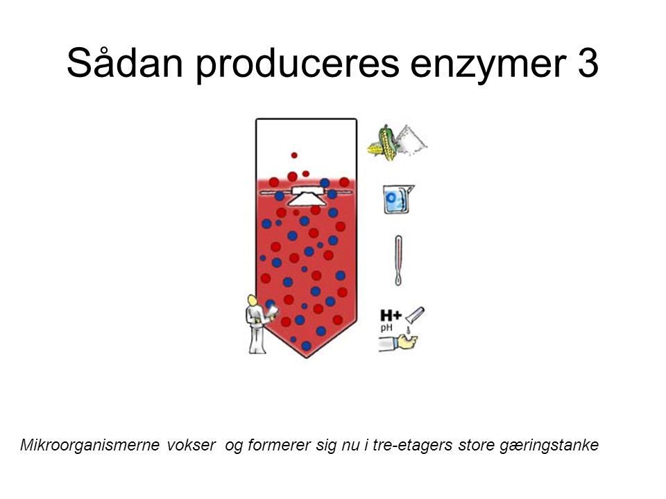Sådan produceres enzymer 3