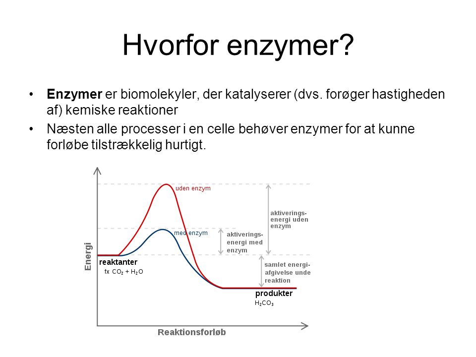Hvorfor enzymer Enzymer er biomolekyler, der katalyserer (dvs. forøger hastigheden af) kemiske reaktioner.