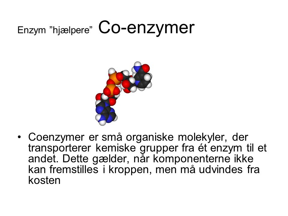 Enzym hjælpere Co-enzymer