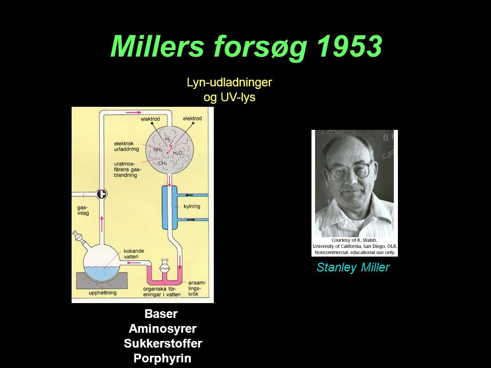 Millers forsøg 1953 Lyn-udladninger og UV-lys Stanley Miller Baser