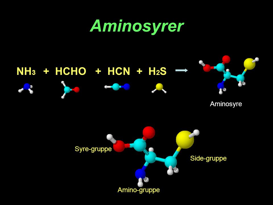 Aminosyrer NH3 + HCHO + HCN + H2S Aminosyre Syre-gruppe Side-gruppe