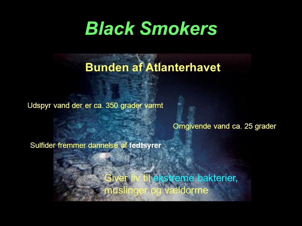 Black Smokers Bunden af Atlanterhavet