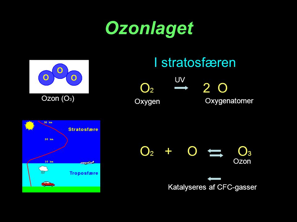 Ozonlaget I stratosfæren O2 2 O O2 + O O3 UV Ozon (O3) Oxygen