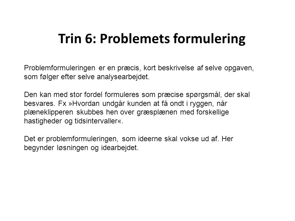 Trin 6: Problemets formulering