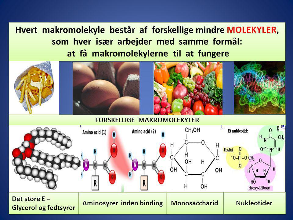 Hvert makromolekyle består af forskellige mindre MOLEKYLER,