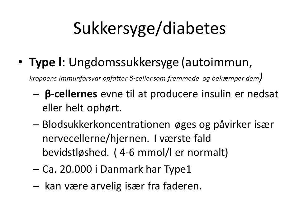 Sukkersyge/diabetes Type l: Ungdomssukkersyge (autoimmun, kroppens immunforsvar opfatter β-celler som fremmede og bekæmper dem)