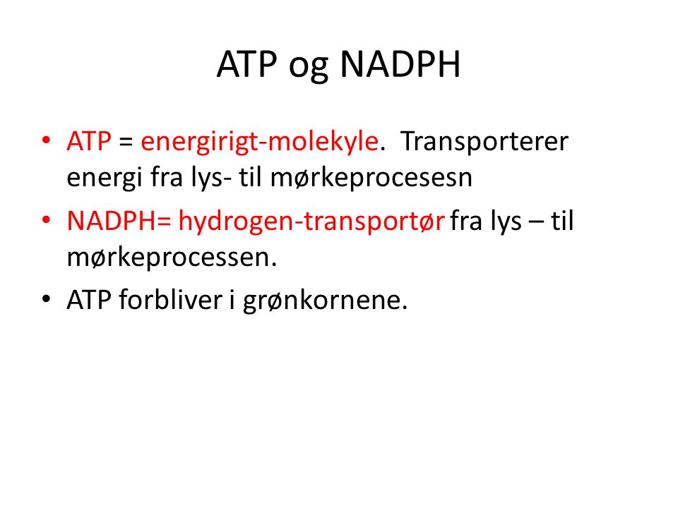 ATP og NADPH ATP = energirigt-molekyle. Transporterer energi fra lys- til mørkeprocesesn. NADPH= hydrogen-transportør fra lys – til mørkeprocessen.