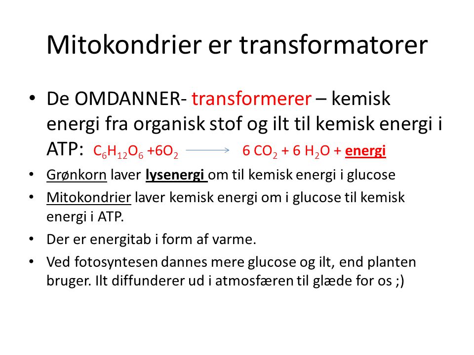 Mitokondrier er transformatorer
