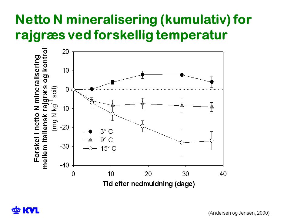 Netto N mineralisering (kumulativ) for rajgræs ved forskellig temperatur
