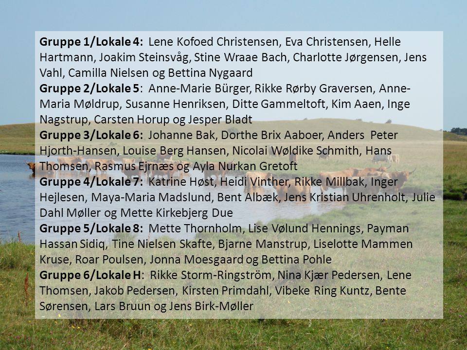 Gruppe 1/Lokale 4: Lene Kofoed Christensen, Eva Christensen, Helle Hartmann, Joakim Steinsvåg, Stine Wraae Bach, Charlotte Jørgensen, Jens Vahl, Camilla Nielsen og Bettina Nygaard
