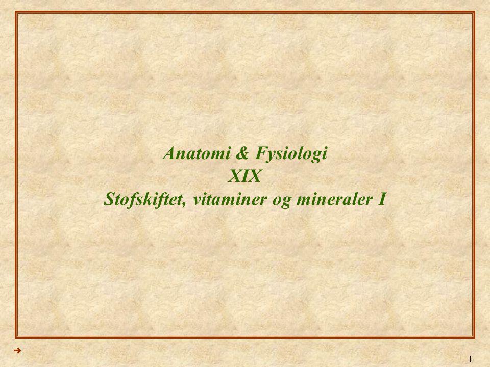 Anatomi & Fysiologi XIX Stofskiftet, vitaminer og mineraler I