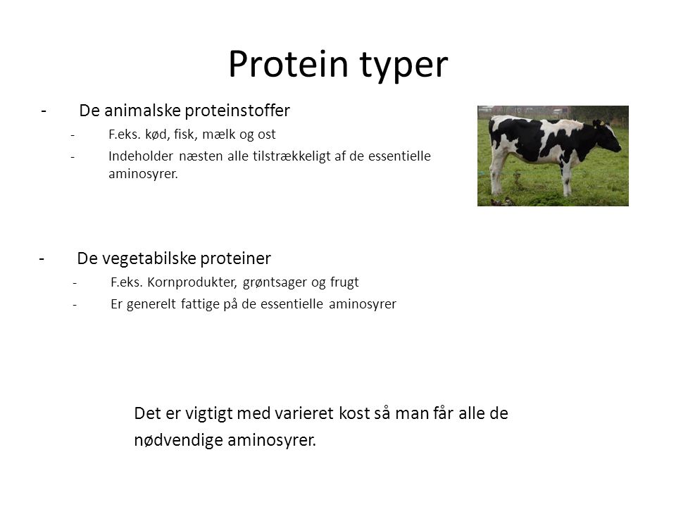 Protein typer De animalske proteinstoffer De vegetabilske proteiner