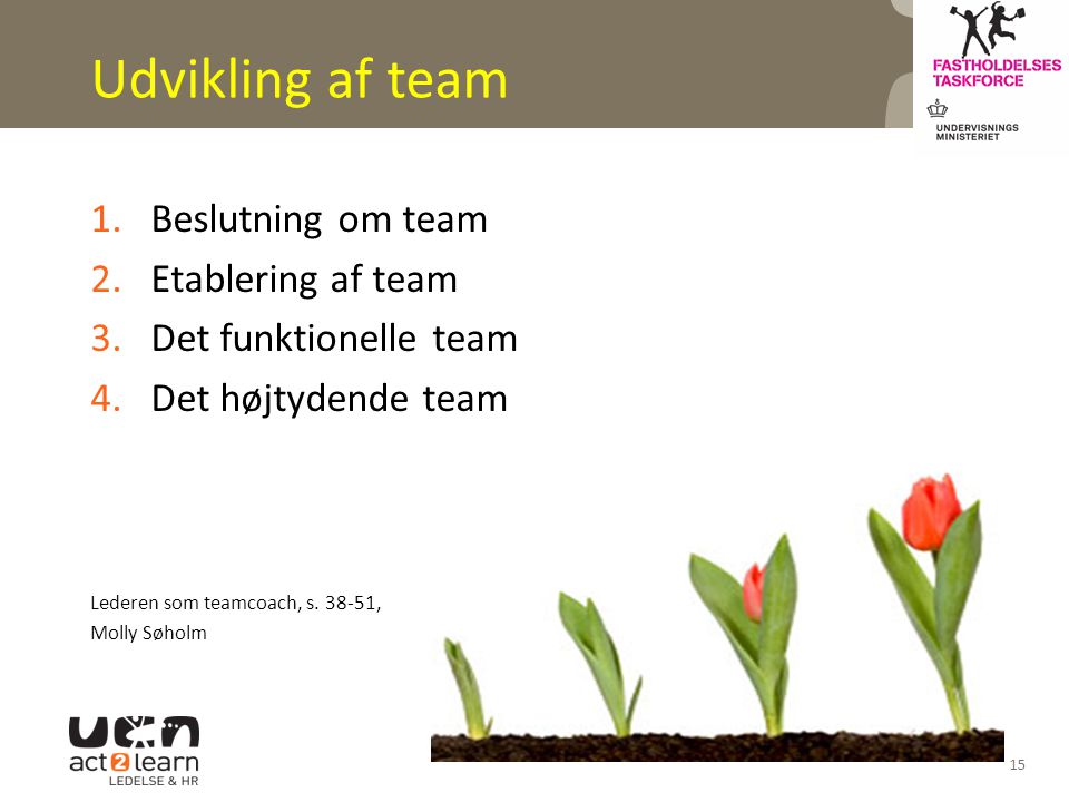 Udvikling af team Beslutning om team Etablering af team