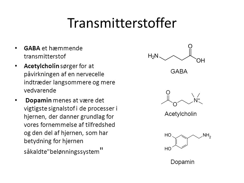Transmitterstoffer GABA et hæmmende transmitterstof