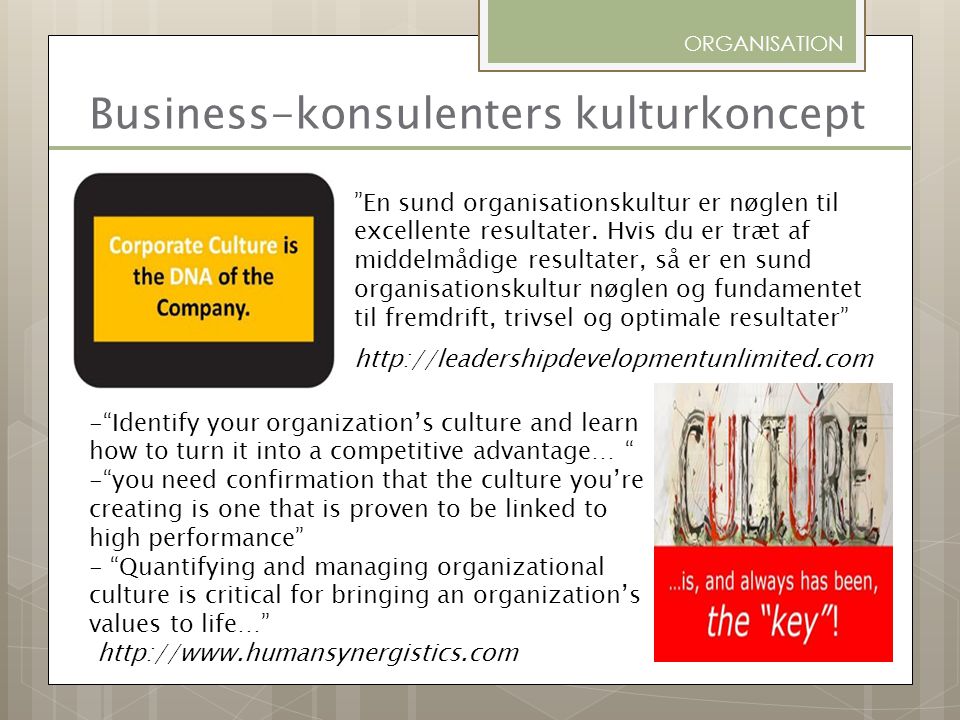 Business-konsulenters kulturkoncept