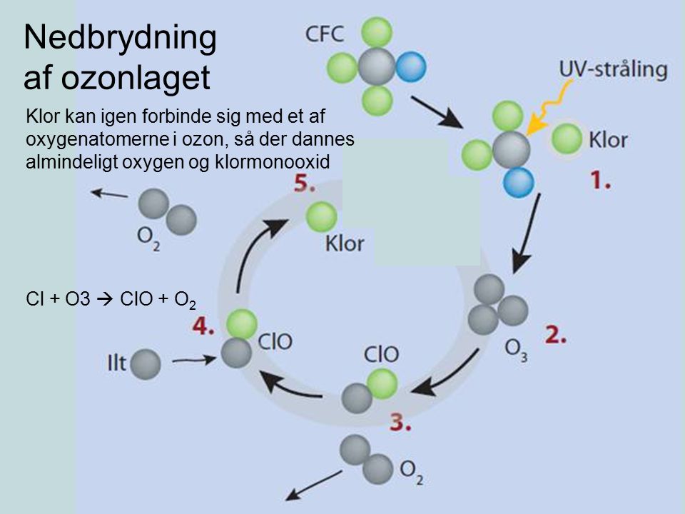 Nedbrydning af ozonlaget