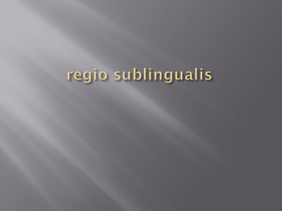regio sublingualis