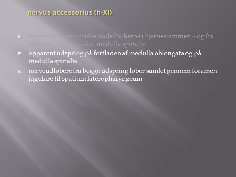 nervus accessorius (h-XI)