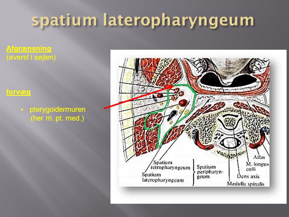spatium lateropharyngeum