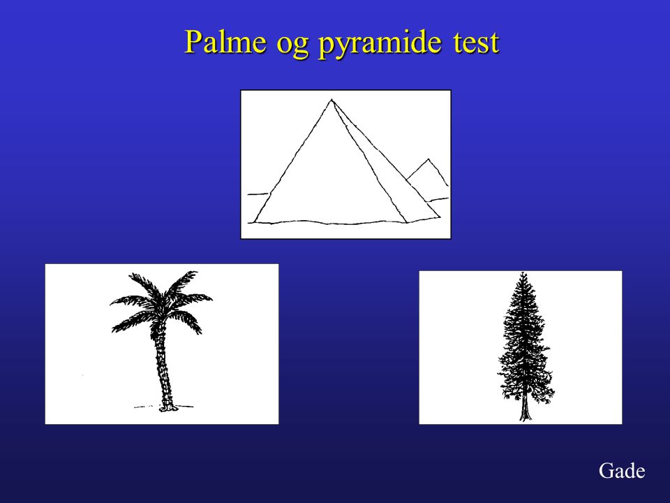 Palme og pyramide test Gade