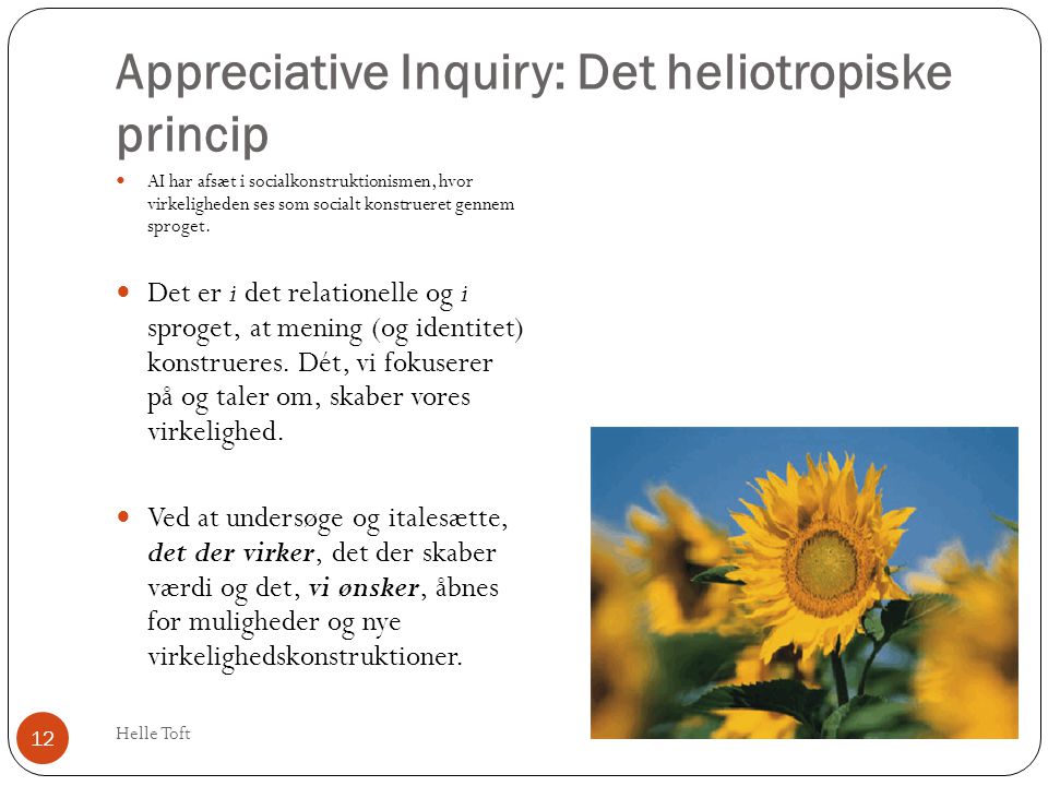 Appreciative Inquiry: Det heliotropiske princip