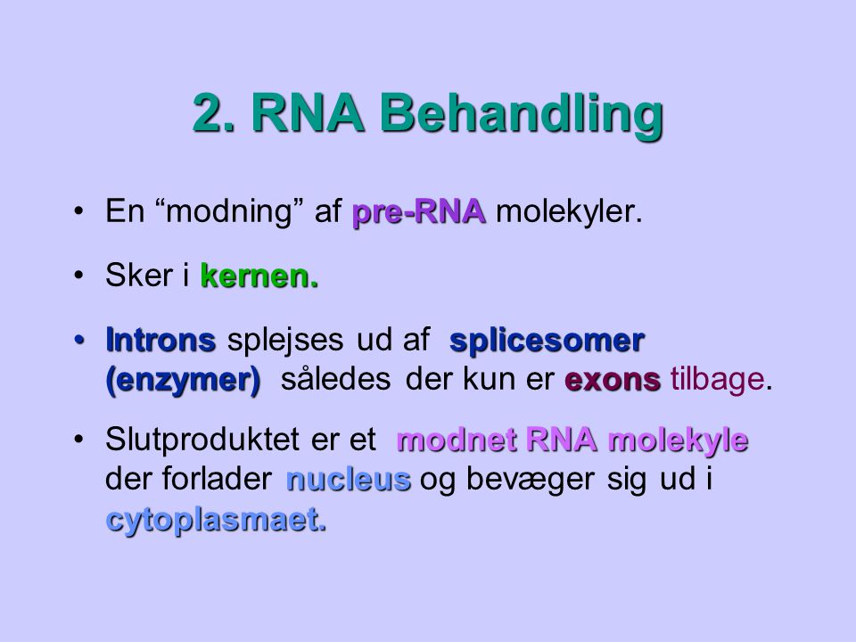 2. RNA Behandling En modning af pre-RNA molekyler. Sker i kernen.