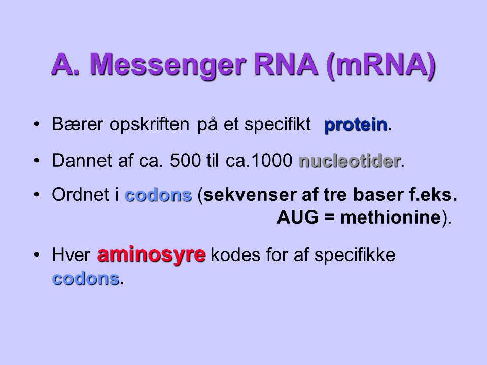 A. Messenger RNA (mRNA) Bærer opskriften på et specifikt protein.