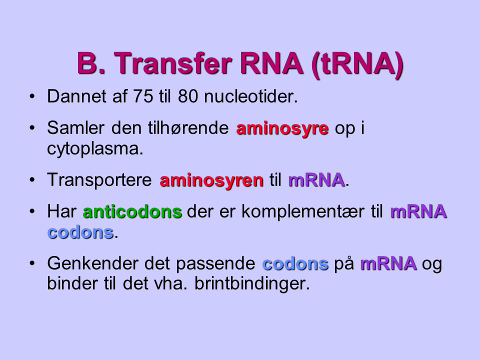 B. Transfer RNA (tRNA) Dannet af 75 til 80 nucleotider.