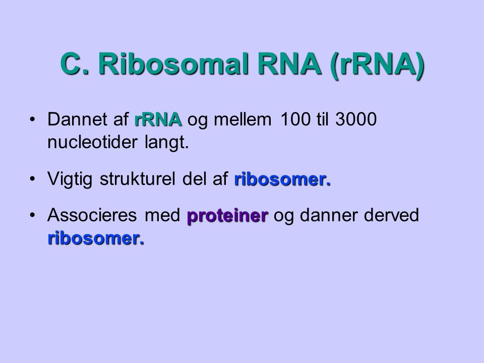 C. Ribosomal RNA (rRNA) Dannet af rRNA og mellem 100 til 3000 nucleotider langt. Vigtig strukturel del af ribosomer.