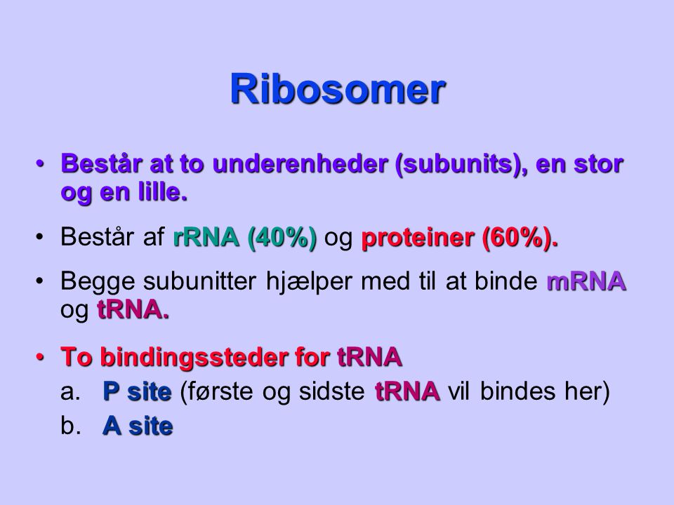 Ribosomer Består at to underenheder (subunits), en stor og en lille.