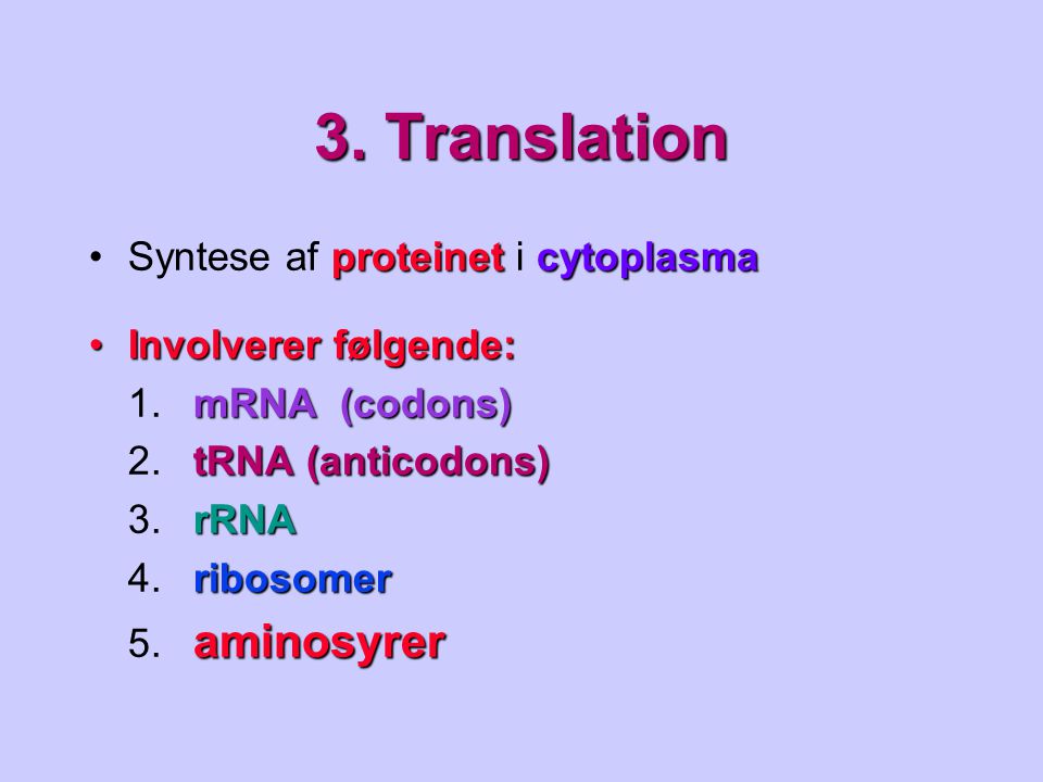 3. Translation Syntese af proteinet i cytoplasma Involverer følgende: