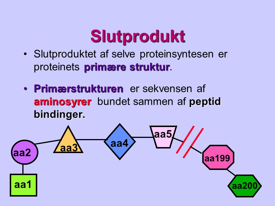Slutprodukt Slutproduktet af selve proteinsyntesen er proteinets primære struktur.