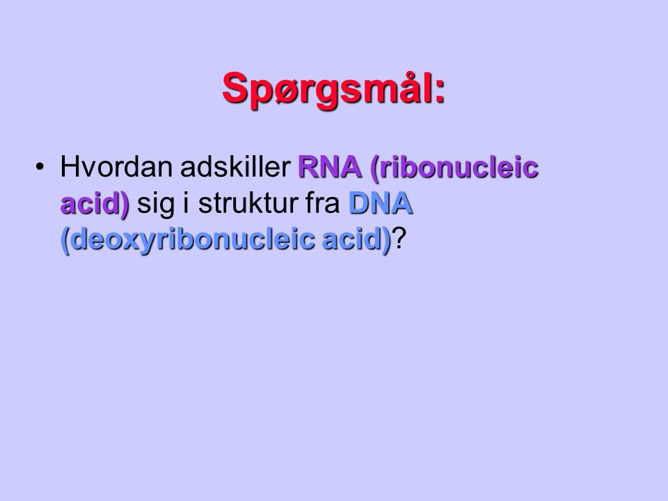 Spørgsmål: Hvordan adskiller RNA (ribonucleic acid) sig i struktur fra DNA (deoxyribonucleic acid)