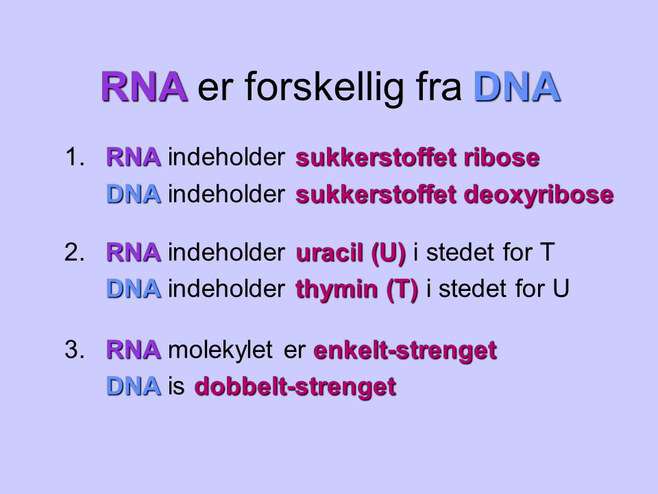 RNA er forskellig fra DNA