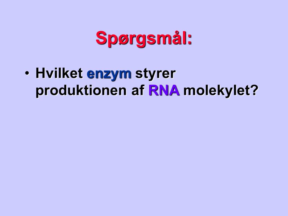Spørgsmål: Hvilket enzym styrer produktionen af RNA molekylet